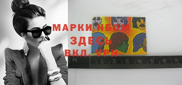 таблы Новозыбков