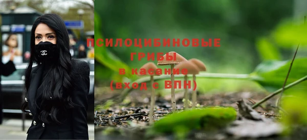 спайс Арсеньев